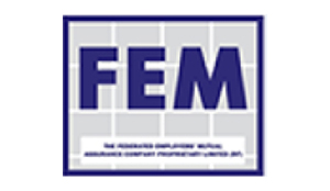 FEM electrical Services